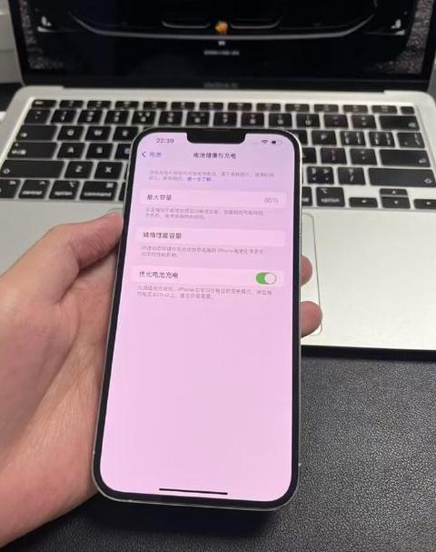 苹果手机13pro max粉色